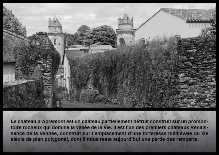 livre photo2